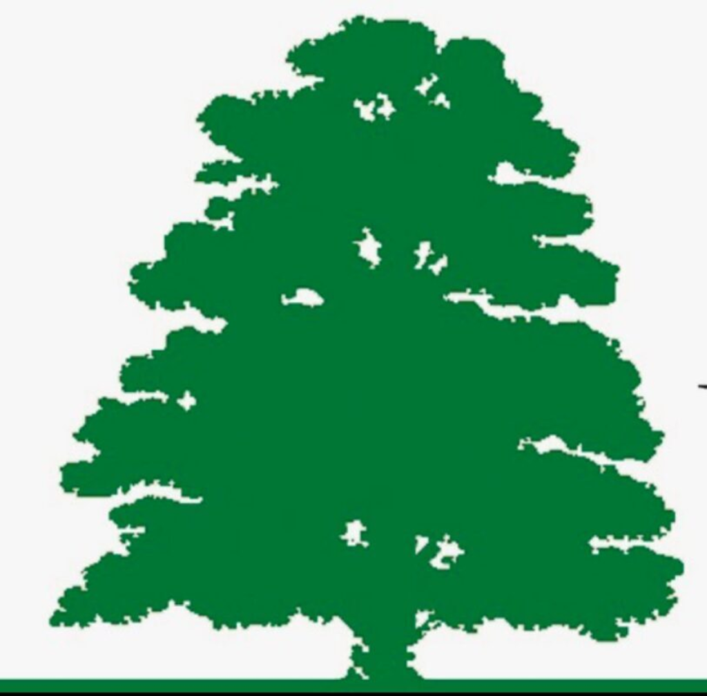 Acomb Parish Council